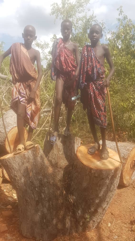 The True Materials of Contemporary African Art – Why Ebony Is for Sculpture and Mninga/Mkongo Are for Functional Furniture المواد الحقيقية في الفن الأفريقي المعاصر – لماذا يُستخدم خشب الأبنوس للمنحوتات وتُستخدم أخشاب منينغا/مكونغو للأثاث الوظيفي