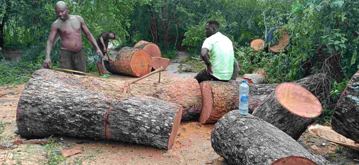 The Story Behind the “Spirit of Africa” Collection – A Celebration of Identity and Cultural Legacy