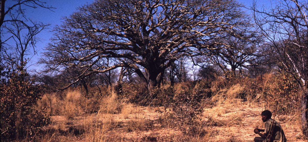 Our Artisans: People, Tradition, and African Craftsmanship